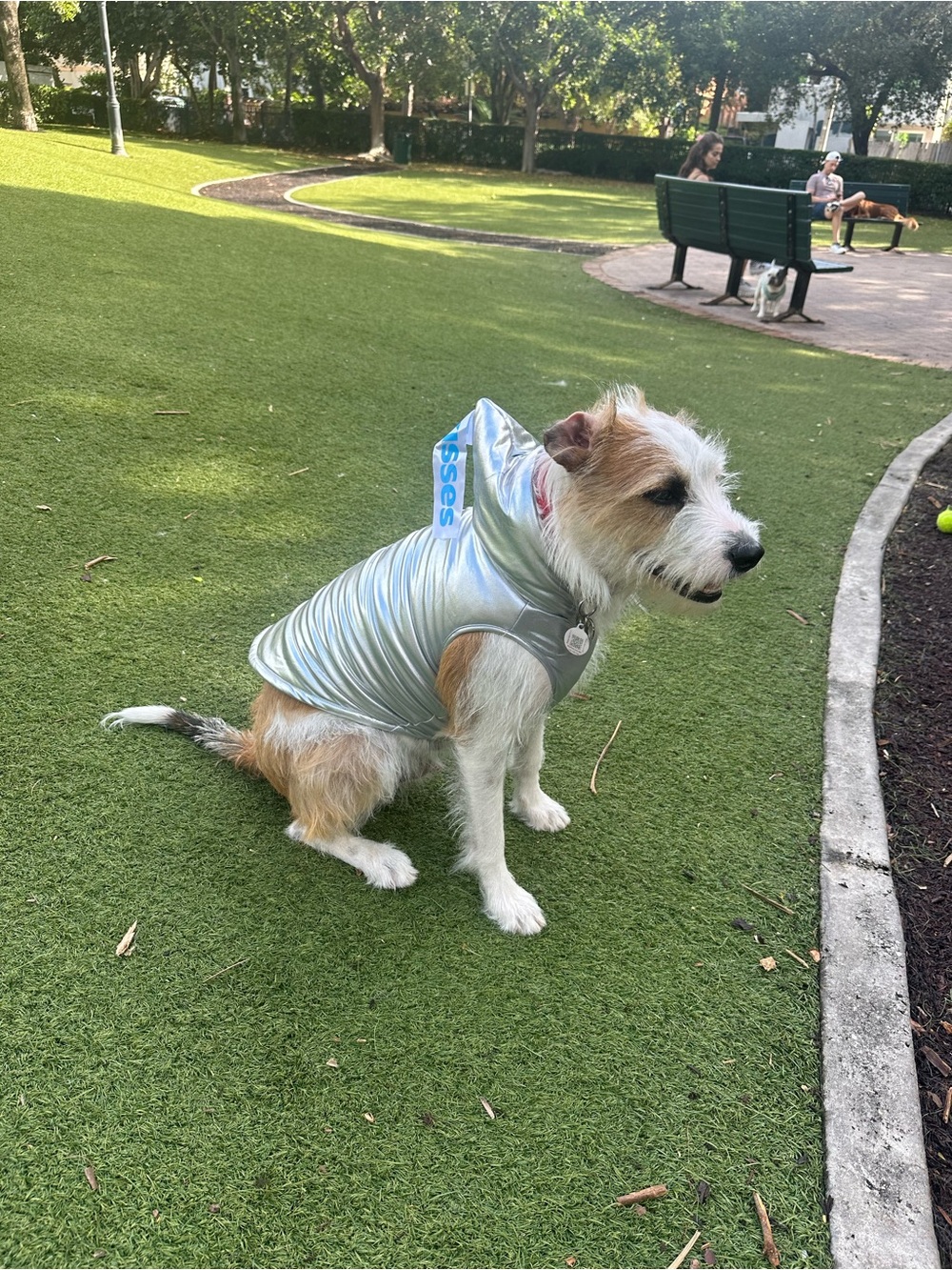 Hershey Kiss Dog Costume